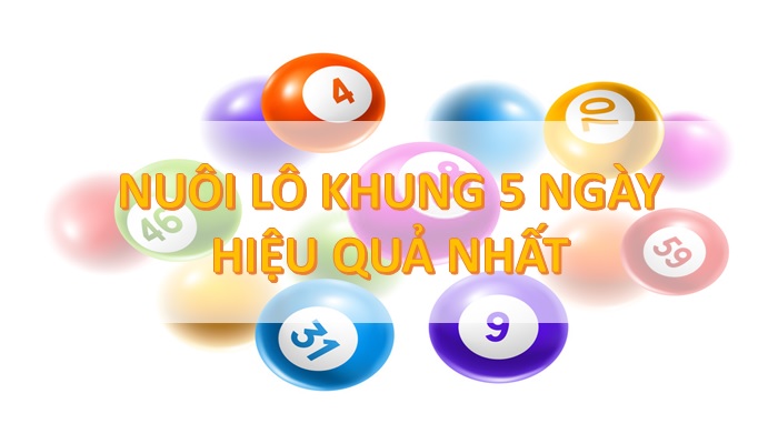 Cách bắt bạch thủ lô khung 5 ngày chuẩn như cao thủ