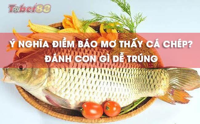 Ý nghĩa của những giấc mơ thấy cá chép