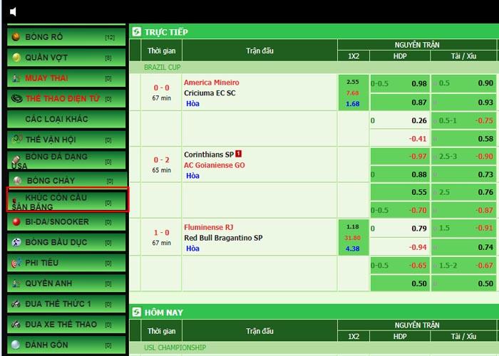 Tham gia cá cược khúc côn cầu sân băng