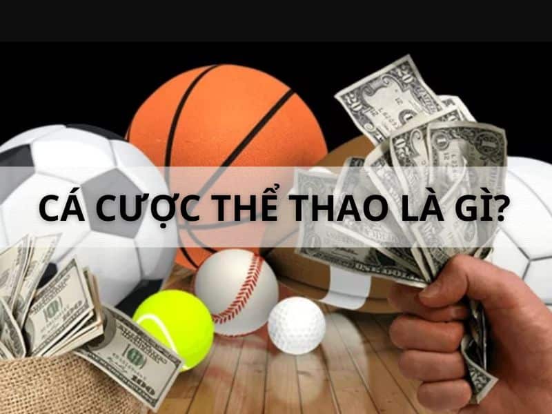 cá cược thể thao là gì?