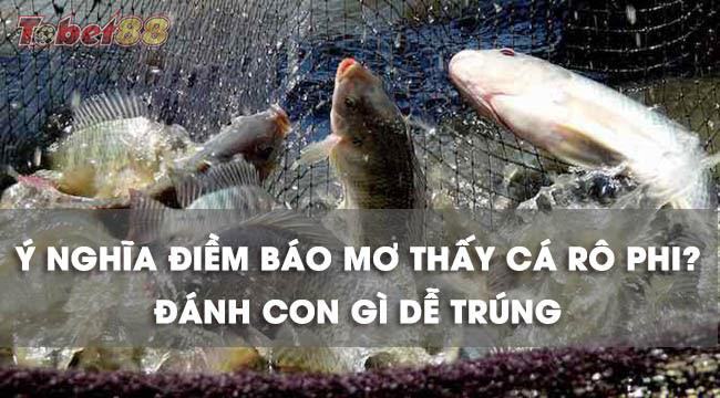 Nằm mơ thấy cá rô đồng nói chung