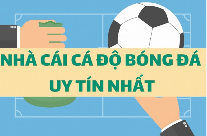 Các yếu tố thể hiện một website đá banh uy tín