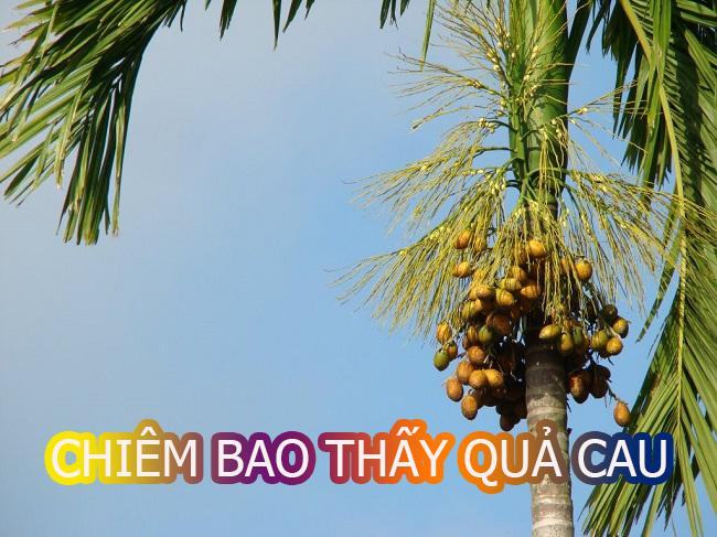 Giải mã giấc chiêm bao thấy quả cau