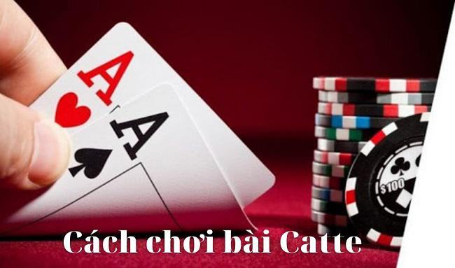 Cách chơi bài Catte hiệu quả nhất