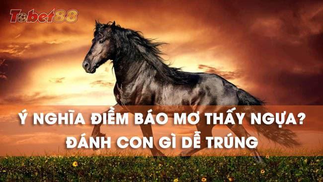 Ý nghĩa những giấc mơ thấy ngựa