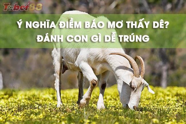 Nằm mơ thấy con dê đánh số mấy dễ trúng hôm nay?