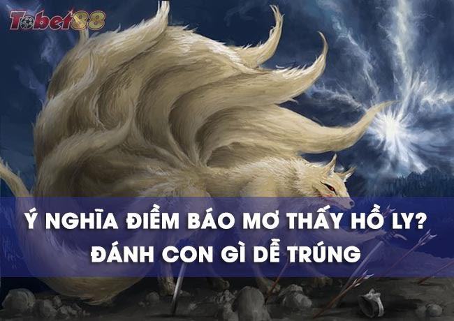 Mơ thấy con hồ ly đánh ngay đề may mắn: 13 - 36 - 74