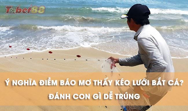 Điềm báo những giấc mơ thấy kéo lưới bắt cá