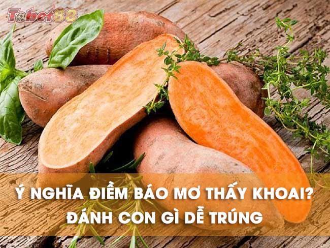 Ý nghĩa những giấc mơ thấy khoai lang