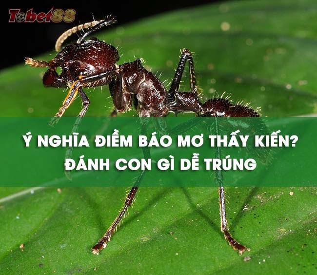 giấc mơ điềm lành hay dữ còn tùy thuộc vào từng hoàn cảnh, diễn biến