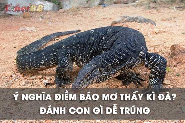 Giải mã những giấc ngủ mơ thấy kỳ đà