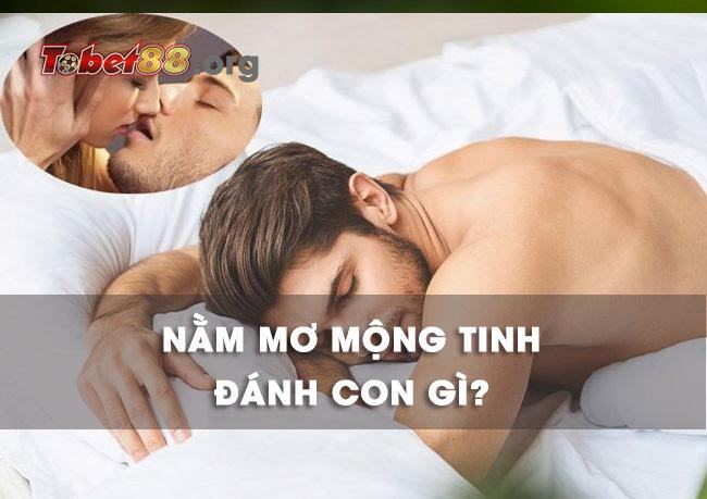 Nằm mơ mộng tinh đánh con gì để thắng lớn lô đề?