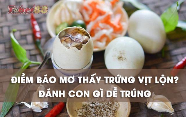 Giải mã điềm báo giấc mơ thấy trứng vịt lộn là gì?