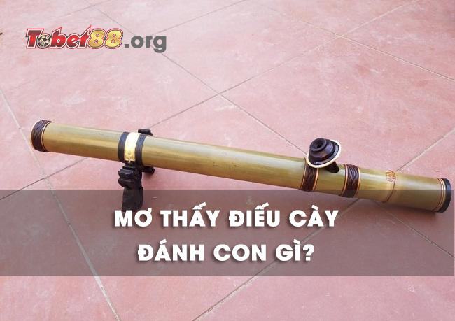 Nằm ngủ mơ thấy đuốc thuốc lào đánh con gì?