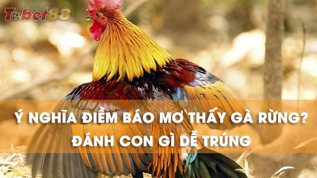 Giải mã ý nghĩa nằm mơ thấy gà rừng