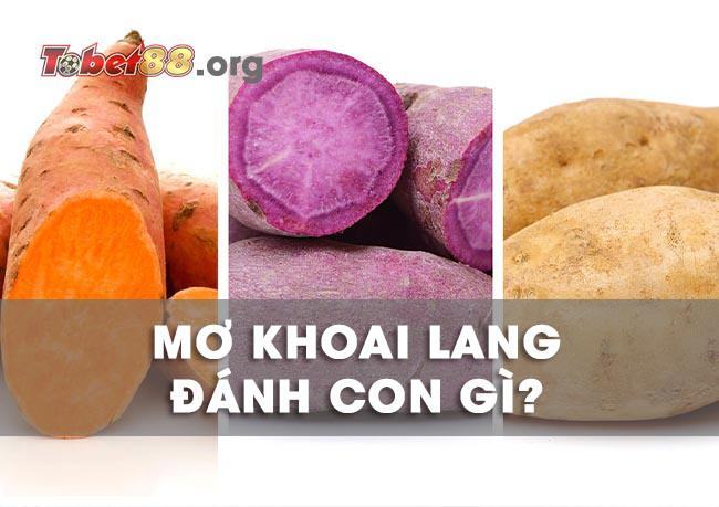 Mơ thấy khoai lang đánh con gì? Nằm mơ thấy ăn khoai lang