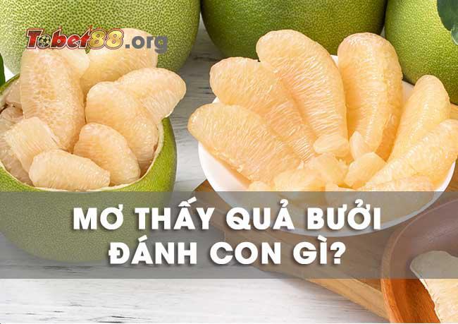 Giấc mơ thấy quả bưởi đánh con gì? Điềm báo mơ thấy cây bưởi