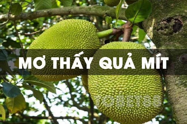 Những giấc mơ thấy quả mít mang ý nghĩa gì ?