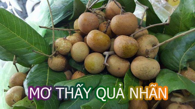 Nằm mơ thấy quả nhãn và các điềm báo liên quan