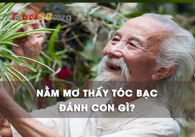 Chiêm bao thấy tóc bạc đánh con gì chắc ăn nhất?