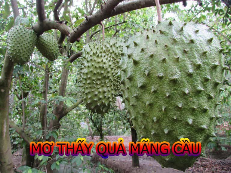 Mơ thấy trái mãng cầu đánh con gì chắc ăn?