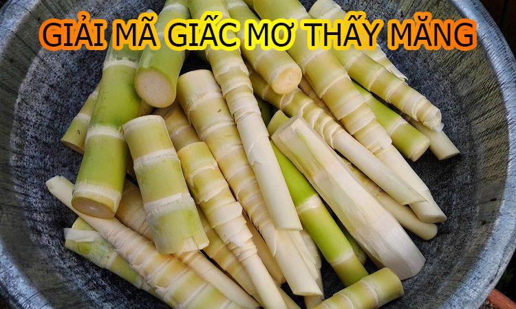 Giải mã giấc mơ thấy măng như thế nào?