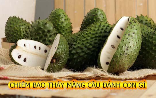 Gợi ý con số may mắn khi mơ thấy quả mãng cầu