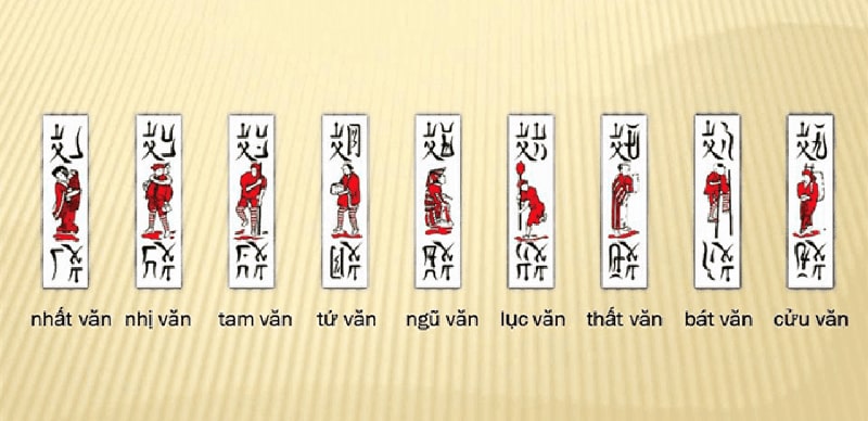 tổ tôm là gì