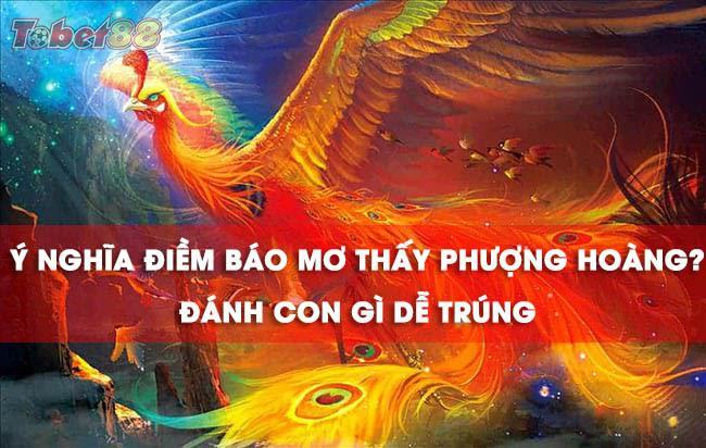 Giải mã những giấc mơ thấy chim phượng hoàng