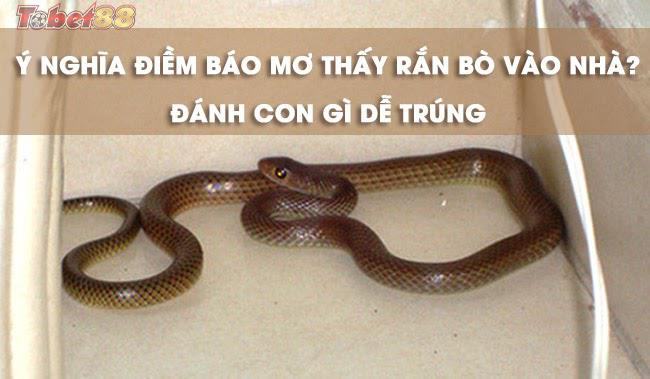 chúng ta cần tìm hiểu ý nghĩa điềm báo của các giấc mơ này