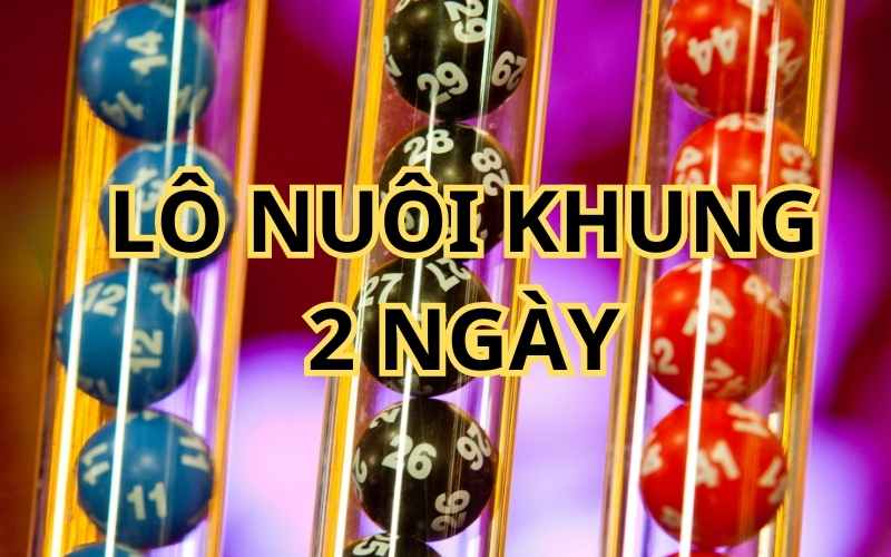 Tất tần tật về lô nuôi khung 2 ngày