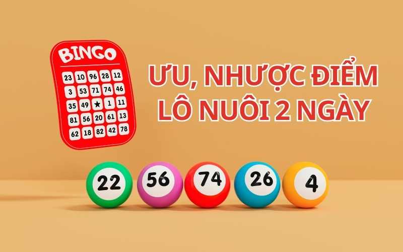 Ưu nhược điểm lô nuôi khung 2 ngày