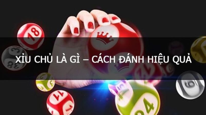 xỉu chủ là gì