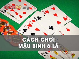 Hướng dẫn cách chơi bài binh 6 lá hiệu quả và chi tiết