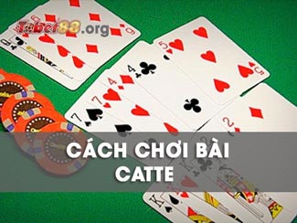 Hướng dẫn cách chơi bài catte chuẩn xác nhất từ các cao thủ