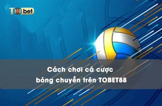 Chia sẻ cách chơi cá cược bóng chuyền trên TOBET88 chi tiết