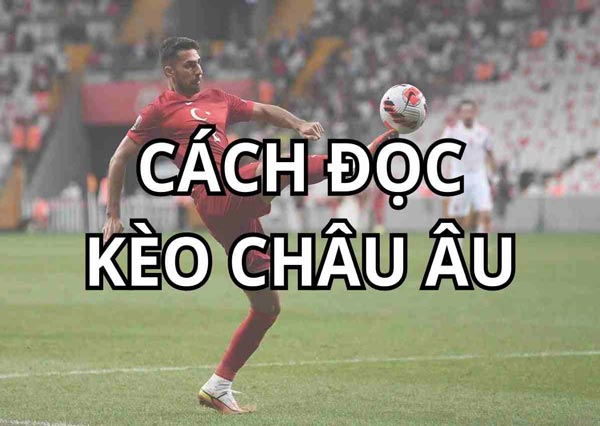 Hướng dẫn cách đọc kèo châu Âu chi tiết từ A-Z cực đơn giản