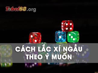 Hướng dẫn cách lắc xí ngầu theo ý muốn chuẩn nhất hiện nay