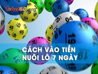 Bỏ túi cách vào tiền nuôi lô 7 ngày chuẩn xác nhất từ chuyên gia