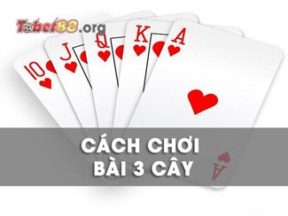 Cách chơi 3 cây hiệu quả và dễ hiểu nhất dành cho người mới bắt đầu