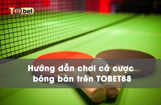 Hướng dẫn chơi cá cược bóng bàn trên TOBET88 cực dễ