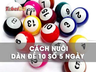 Dàn đề 10 nuôi khung 5 ngày: Hướng dẫn lập miễn phí chuẩn nhất