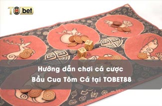 Hướng dẫn chơi cá cược bầu cua tôm cá TOBET88 chi tiết nhất