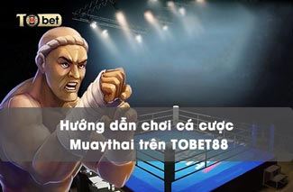 Hướng dẫn chơi cá cược Muaythai trên TOBET88 đơn giản