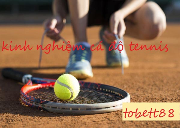 Kinh nghiệm cá độ Tennis giúp bạn thắng cược nhận thưởng lớn