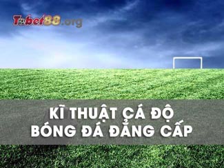 Tổng hợp kỹ thuật cá độ bóng đá đẳng cấp từ cao thủ hàng đầu