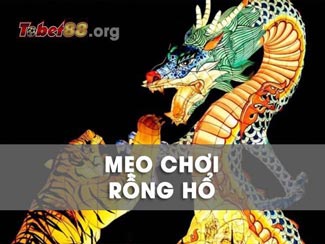 Top 6 mẹo chơi rồng hổ trăm trận trăm thắng từ cao thủ