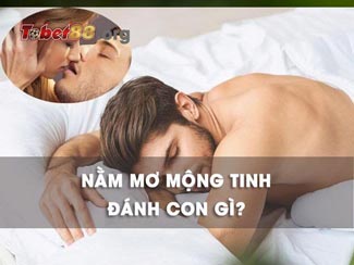 Nằm mơ mộng tinh đánh con gì? Ý nghĩa giấc mơ bị mộng tinh