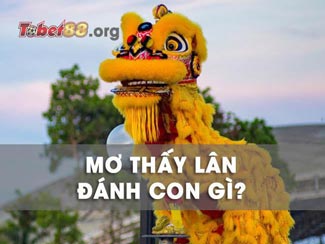 Mơ thấy kỳ lân có sao không? Con số tượng trưng cho giấc mơ là gì