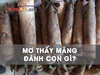 Mơ thấy măng đánh con gì? Giải mã bí ẩn giấc mơ thấy măng